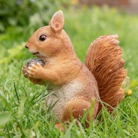 Eichhörnchen mit Nuß