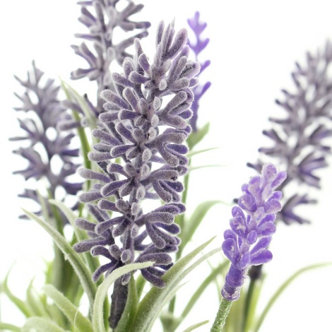 Künstliche Lavendelpflanze online kaufen bei € einfach, sidco.de - SIDCO 17,98